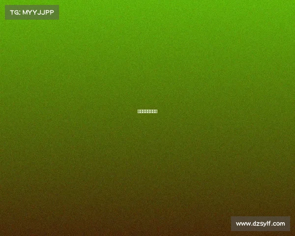 中国男篮蓝队比赛